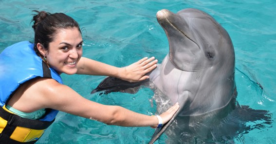 Swimming with Dolphins in Cozumel.The best place for vocation.