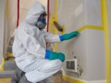 Advantages of Mold Remediation