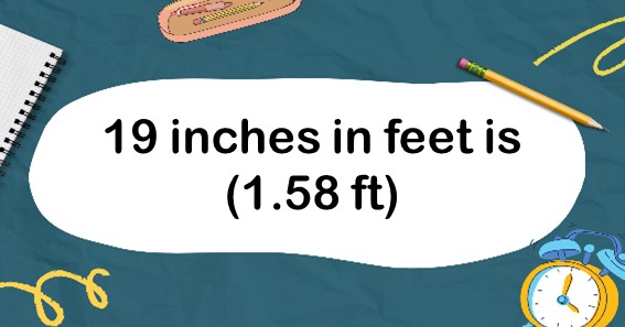 19 inches in feet is (1.58 ft)