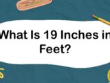 What Is 19 Inches in Feet