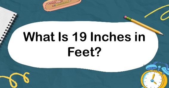 What Is 19 Inches In Feet? Convert 19 In To Feet (ft)