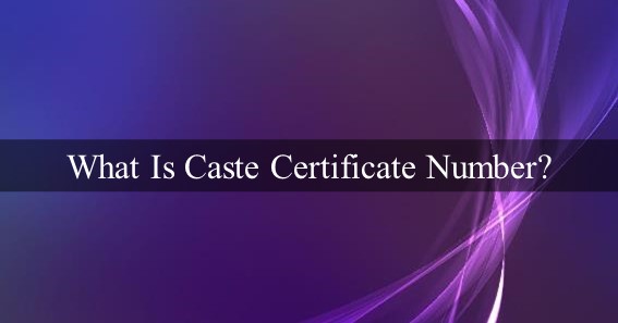 What Is Caste Certificate Number